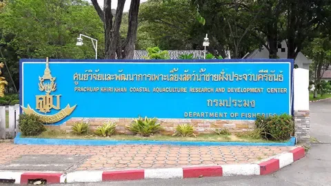ศูนย์วิจัยและพัฒนาการเพาะเลี้ยงสัตว์น้ำชายฝั่งประจวบคีรีขันธ์