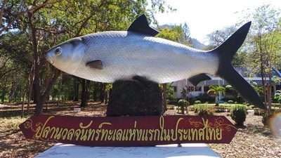 ศูนย์วิจัยและพัฒนาการเพาะเลี้ยงสัตว์น้ำชายฝั่งประจวบคีรีขันธ์
