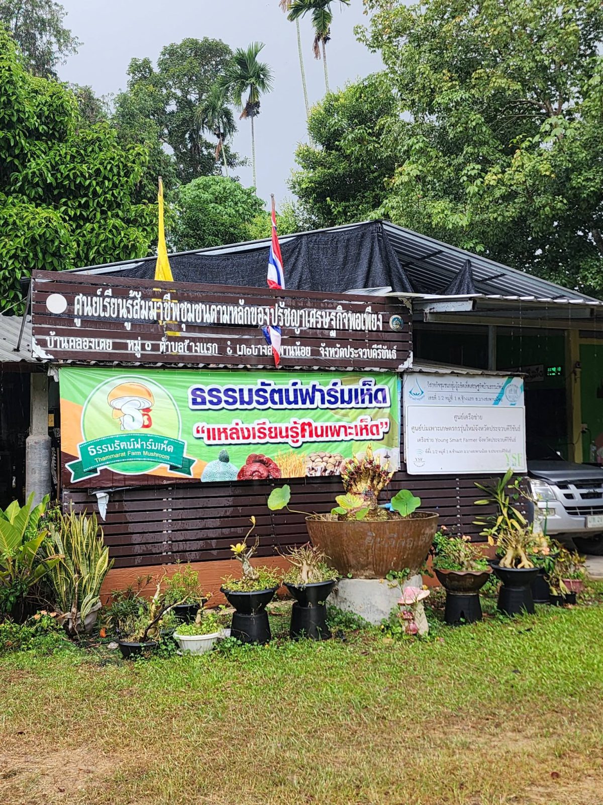 ธรรมรัตน์ฟาร์มเห็ด