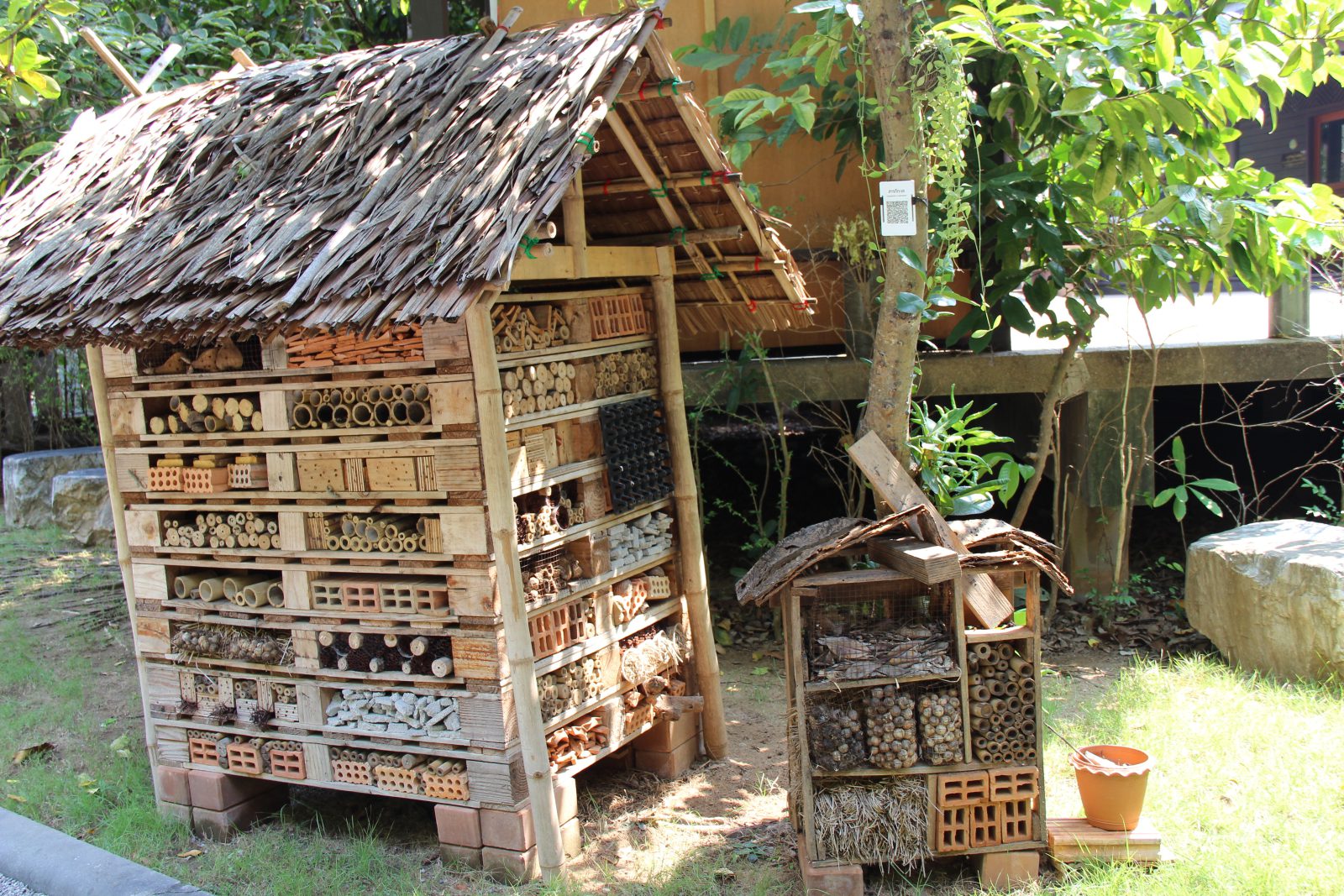 ศูนย์ศึกษาเรียนรู้ระบบนิเวศป่าชายเลน สิรินาถราชินี