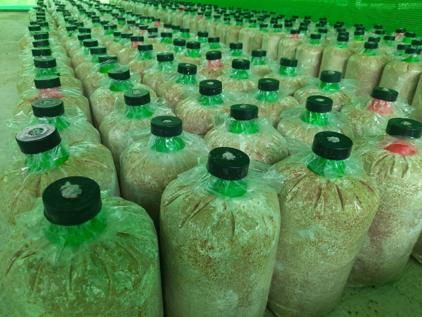 ศูนย์การเรียนรู้เกษตรทฤษฎีใหม่ (รุ่งเรืองฟาร์ม)