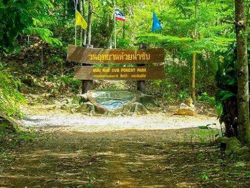 วนอุทยานห้วยน้ำซับ