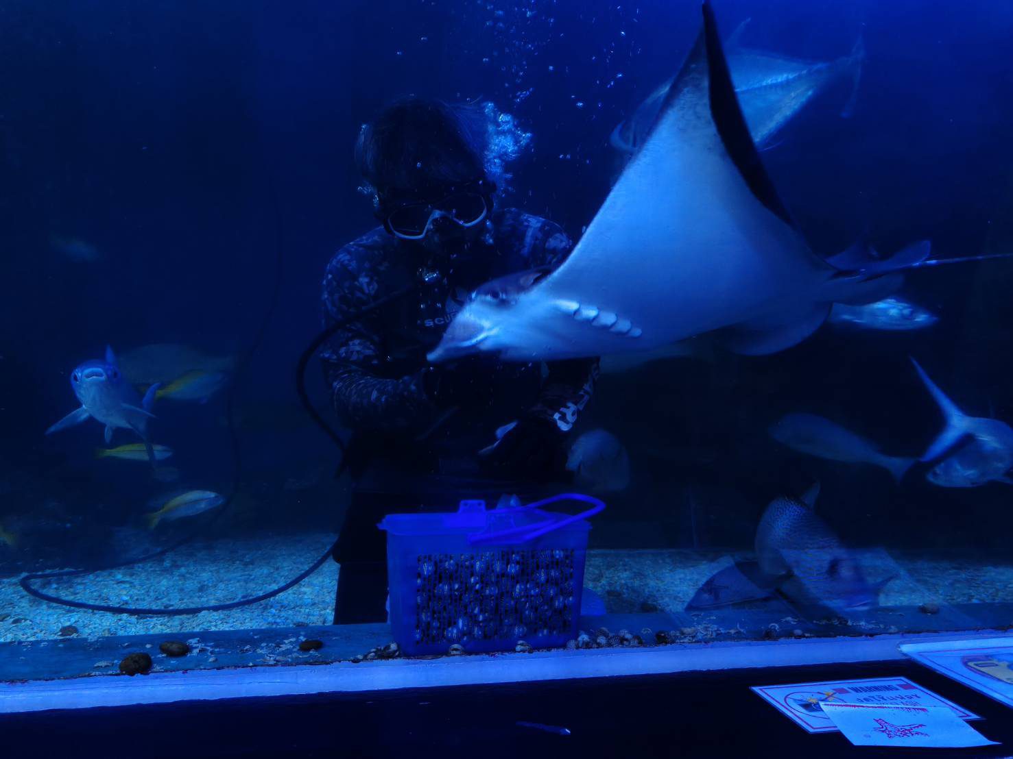 พิพิธภัณฑ์สัตว์น้ำหว้ากอ (Waghor Aquarium)